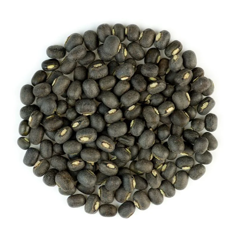 Black-Lentils - Jogwad Village