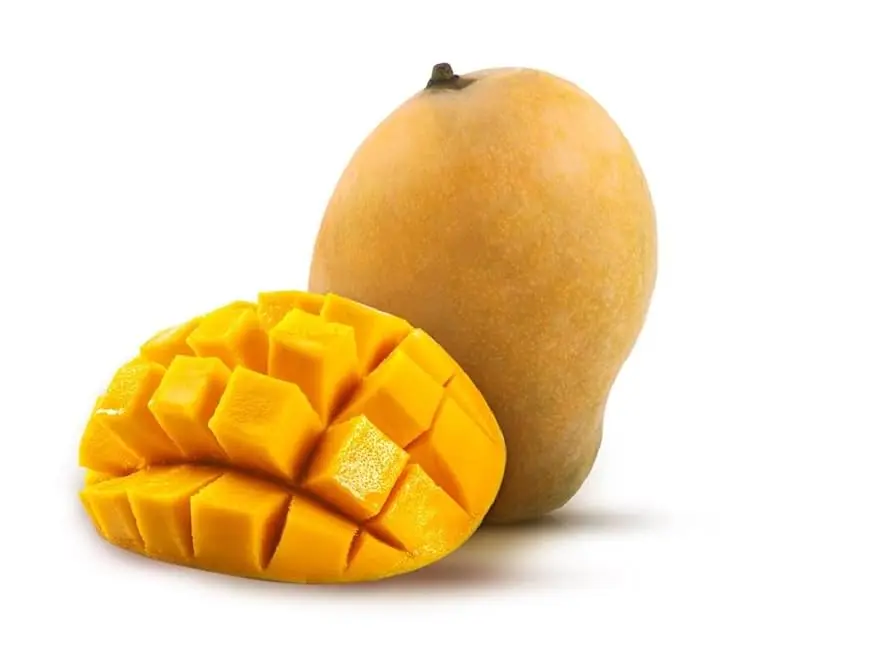 Mango - Jogwad Village